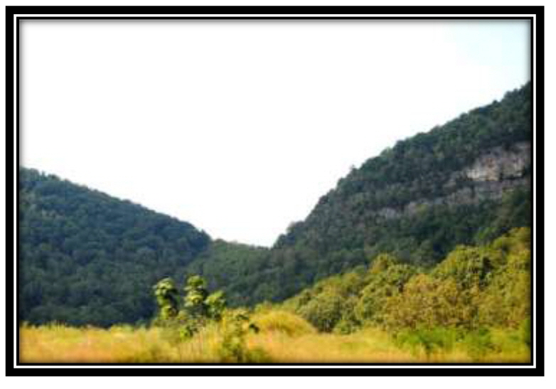 Cumberland Gap